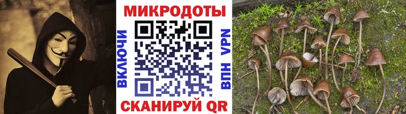 Галлюциногенные грибы Psilocybine cubensis  Тольятти 